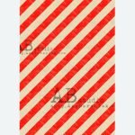 ABStudio 0263
