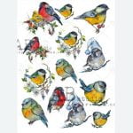 ABStudio 0559 Papier ryżowy A4 - Gile