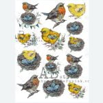 ABStudio 0560 Papier ryżowy A4 - ptaszki, kurczaki, gniazda