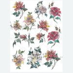 ABStudio 0549