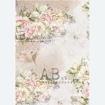 ABStudio 0530