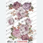 Asket ED424M