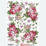 Asket RD428