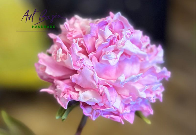 Peonie, które nigdy nie więdną 2 Rozowa peonia