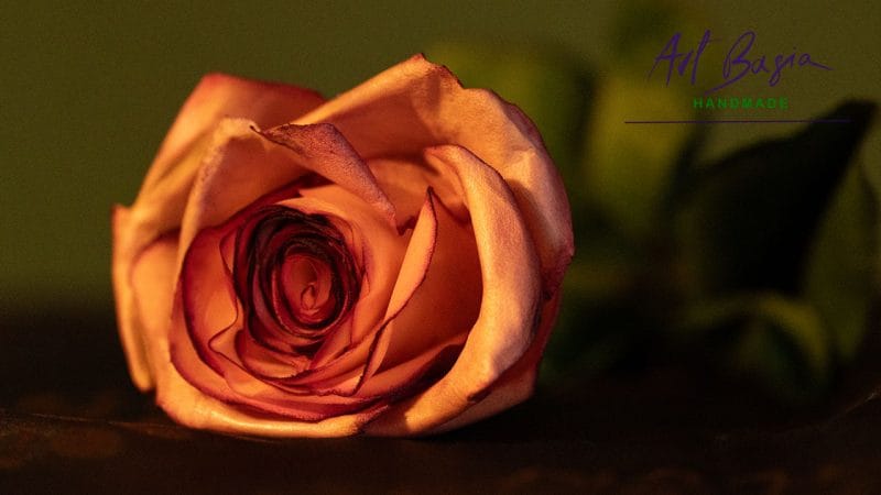Bukiet róż z foamiranu – z zimną porcelaną na łodygach 3 Roza z foamiranu bukiet artbasia 13