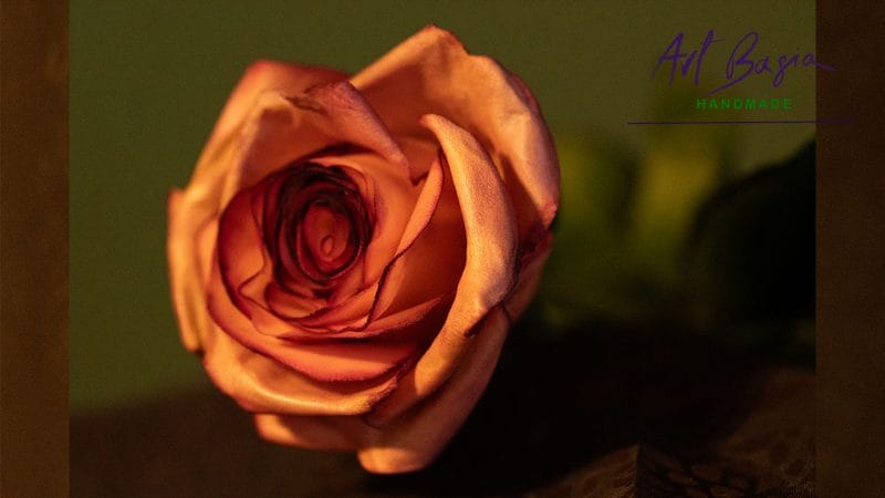 Bukiet róż z foamiranu – z zimną porcelaną na łodygach 12 Roza z foamiranu bukiet artbasia 15