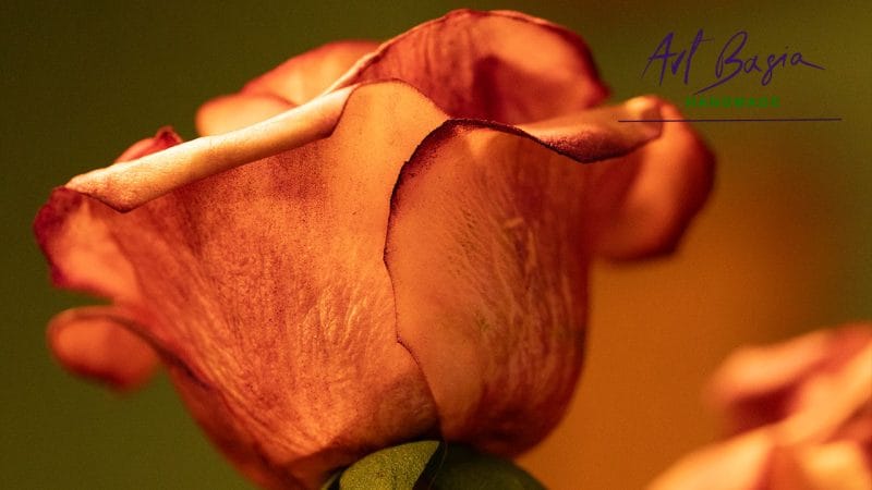 Bukiet róż z foamiranu – z zimną porcelaną na łodygach 4 Roza z foamiranu bukiet artbasia 3