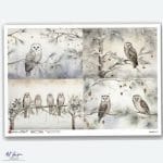 Papier ryżowy Paper Designs A4 ZWIERZĘTA 0213 – sowy na gałęziach w zimowej scenerii, idealny do decoupage na szkle, drewnie, MDF i styropianie